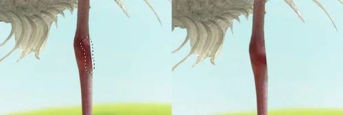 آموزش طراحی موجود خیالی در فتوشاپ